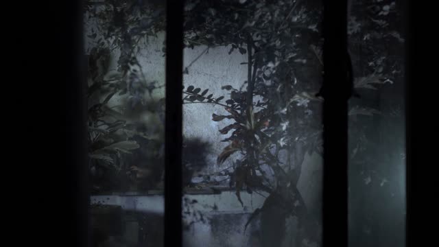 Mysterious figure peers through door in dim garden.