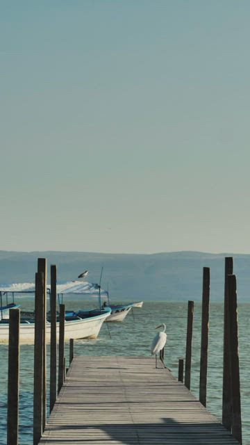 Wooden pier over a body of water.