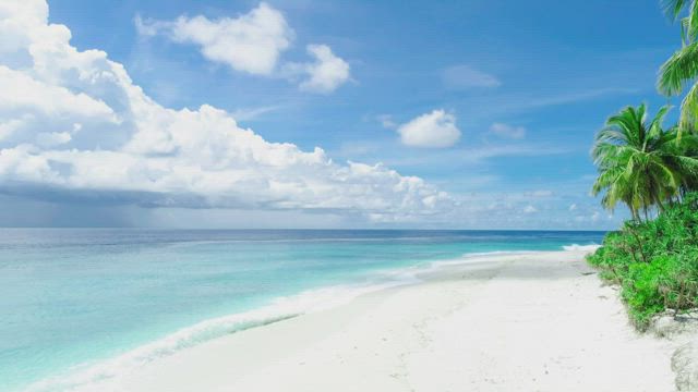 White sand beach background .