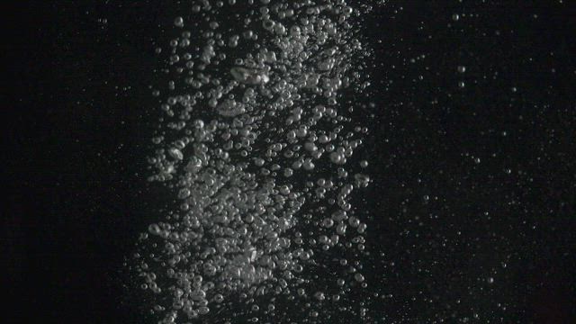 Bubbles rising in water.