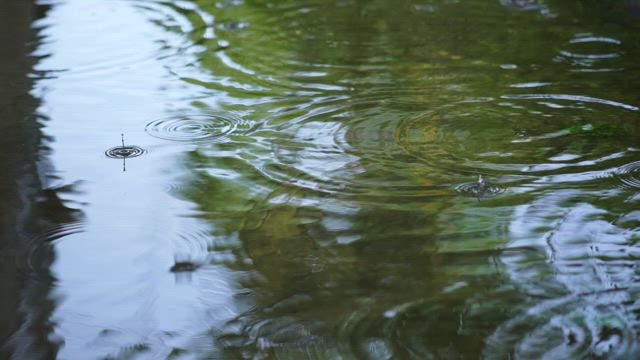 Rain falling on the water of a lake seen up close.