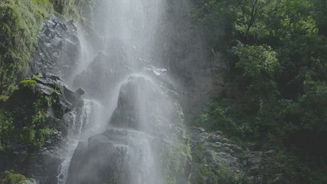 Waterfall in forest.