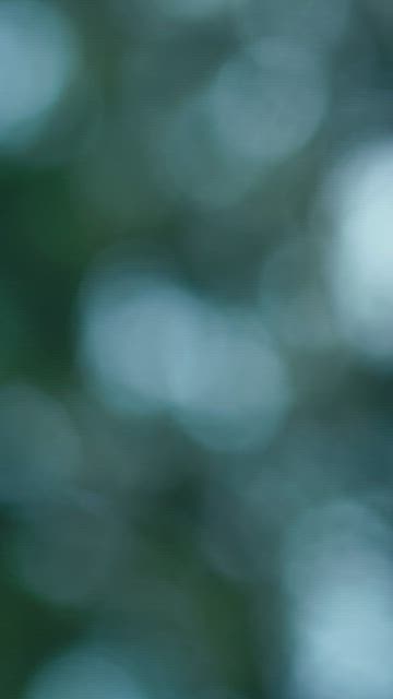 Blurred view of sky through the leaves of a tree.