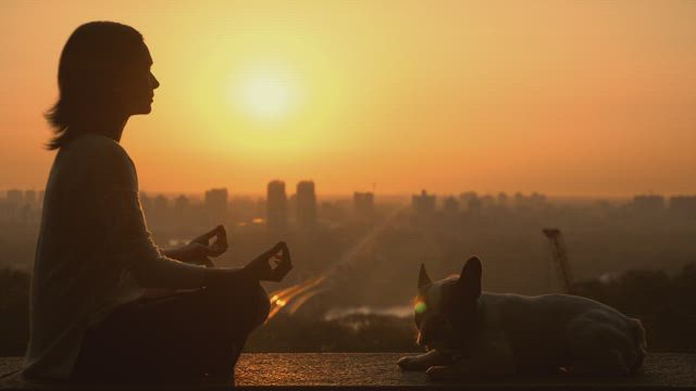 Woman meditating with her dog in the sunset.