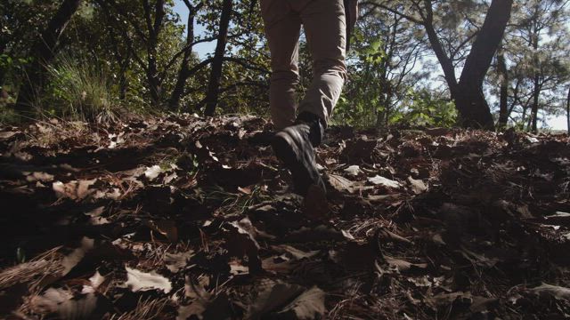 Man walking through forest.