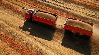 Truck Transports Grain in the Field.